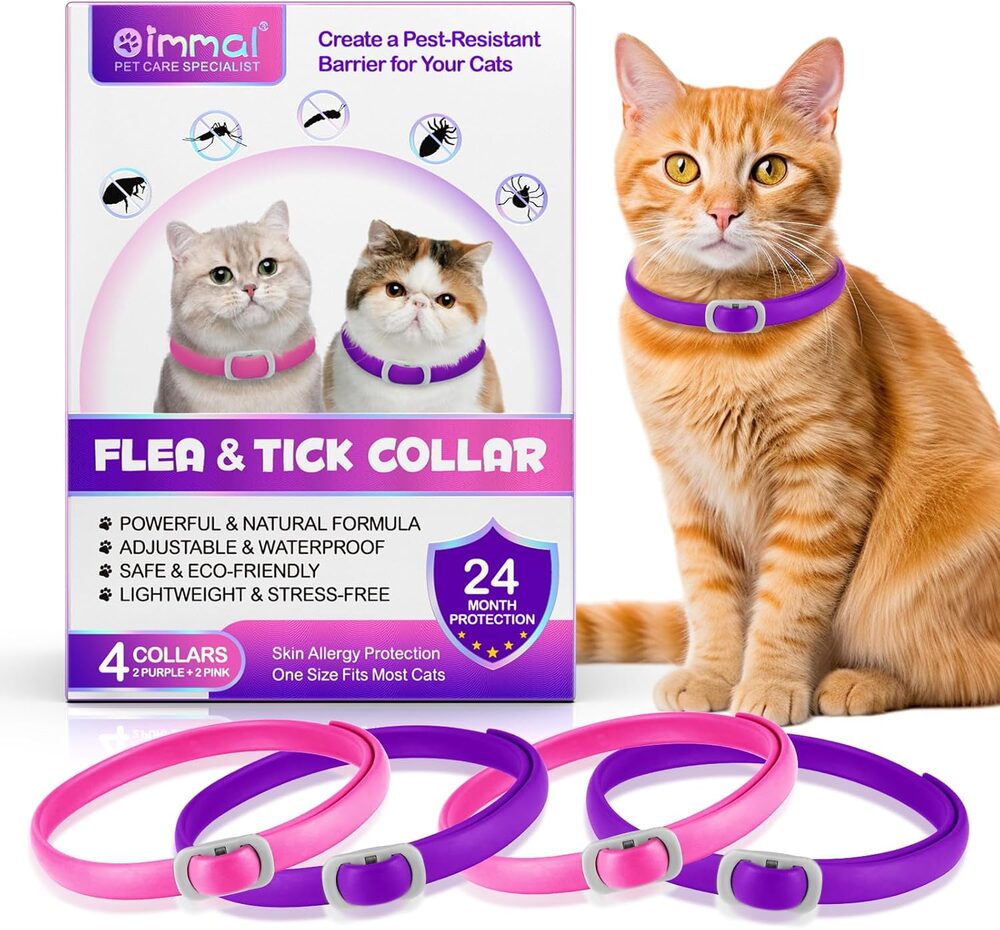 Garrapatas en Gatos: Guía Definitiva
